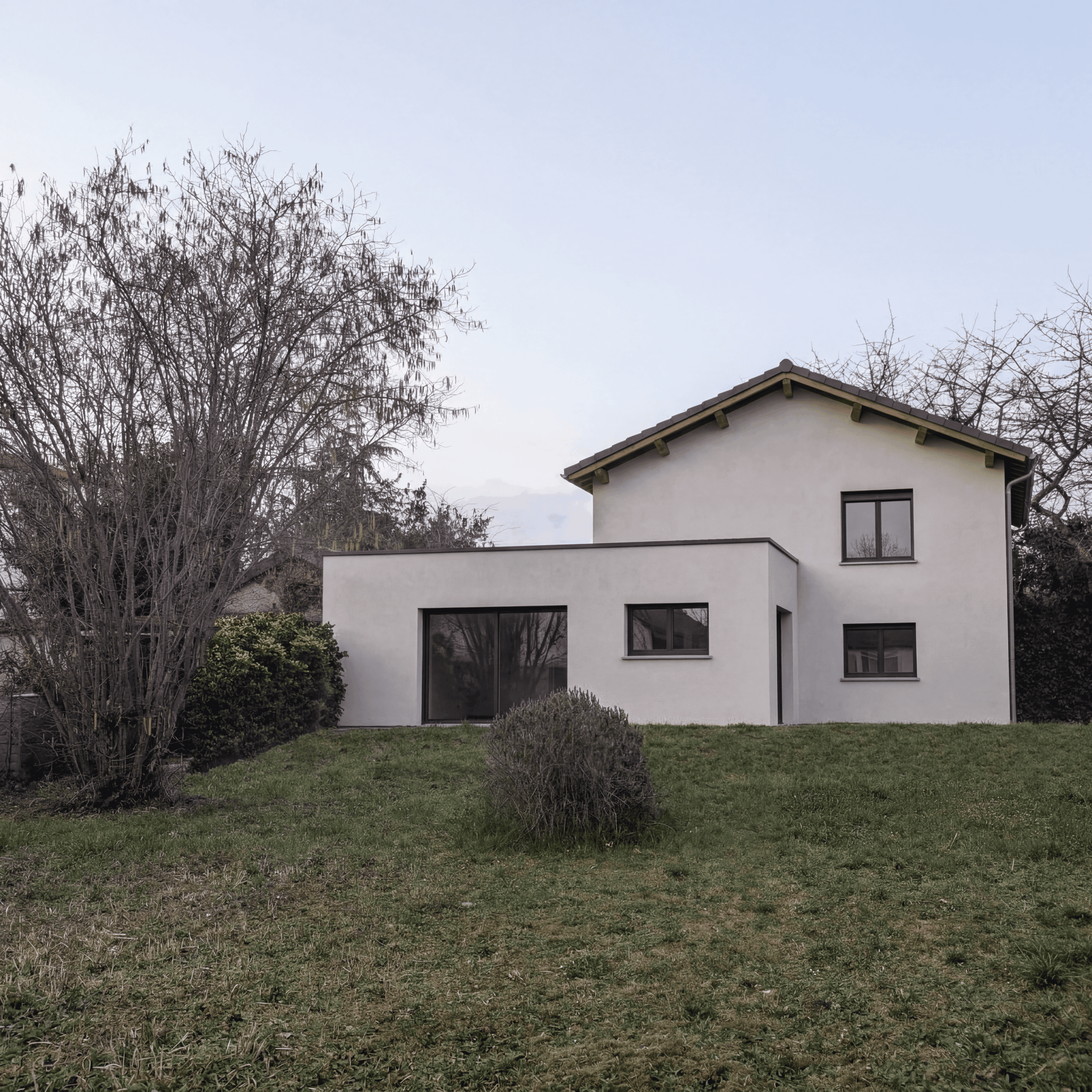 INSERTION PERREIRA 1