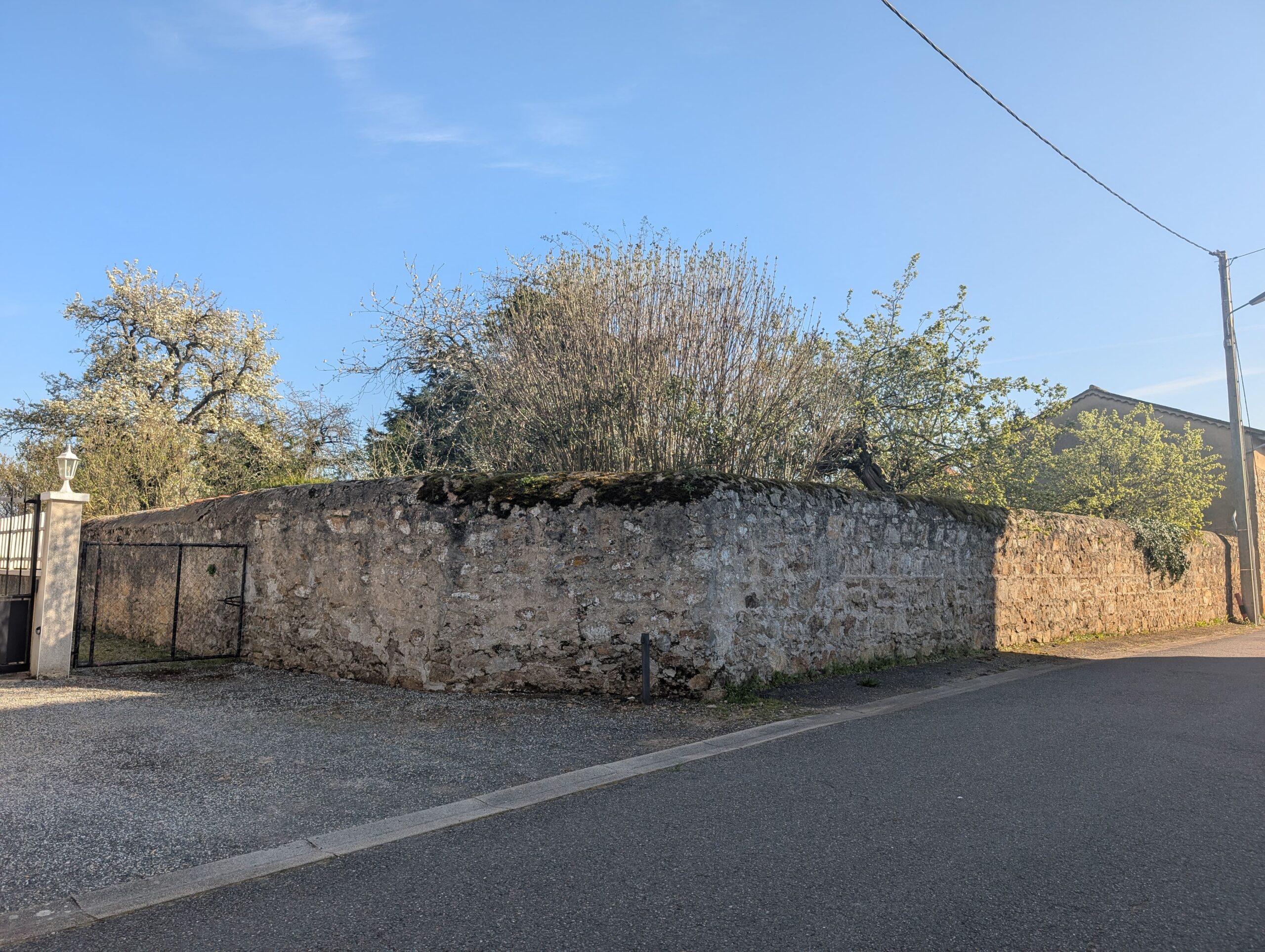 PXL_20260320_151548962